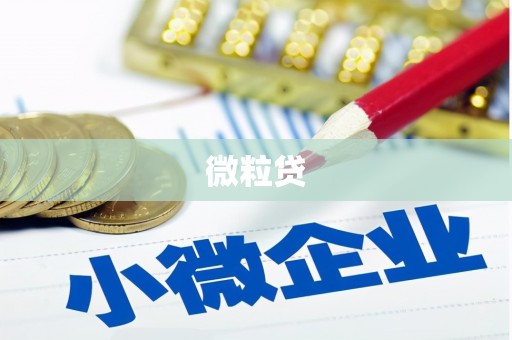 龙川微粒贷