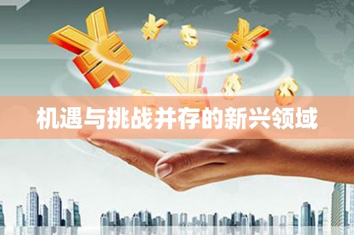 龙川机遇与挑战并存的新兴领域