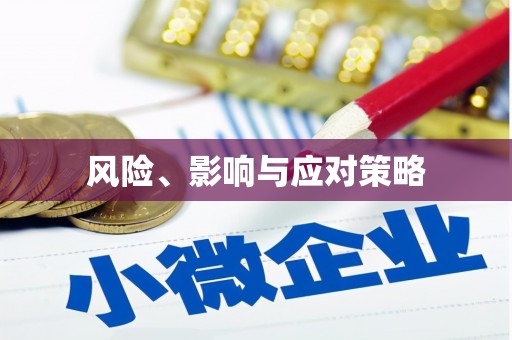 龙川风险、影响与应对策略