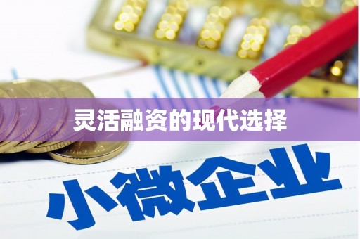 龙川灵活融资的现代选择