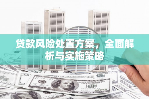 龙川贷款风险处置方案，全面解析与实施策略