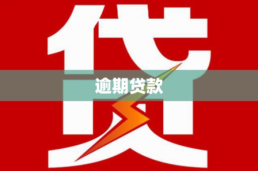 龙川逾期贷款