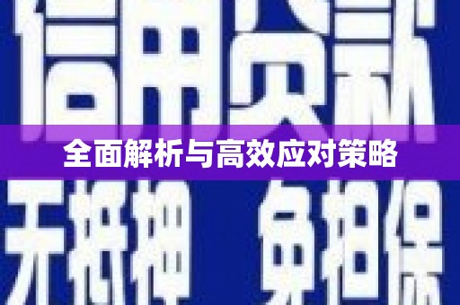 龙川全面解析与高效应对策略