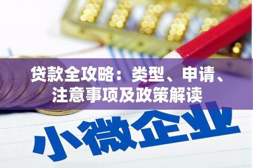 龙川贷款全攻略：类型、申请、注意事项及政策解读